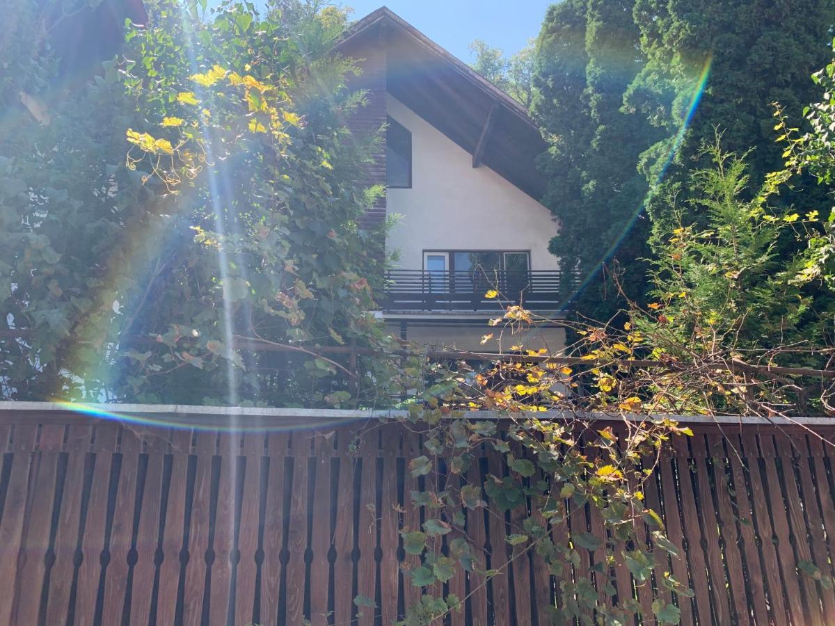 Timi Residence Брашов Екстер'єр фото