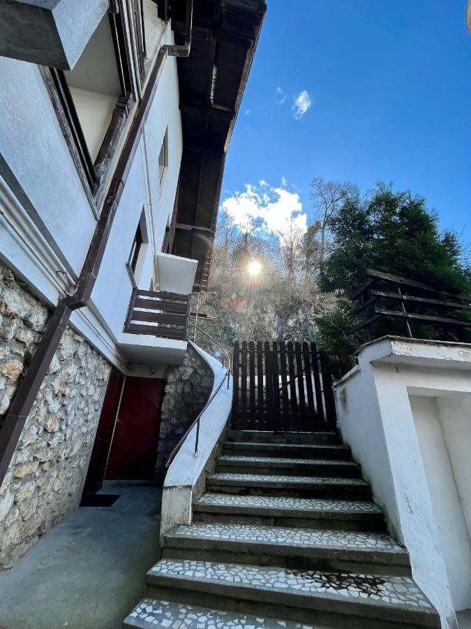 Timi Residence Брашов Екстер'єр фото