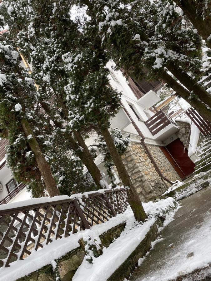 Timi Residence Брашов Екстер'єр фото