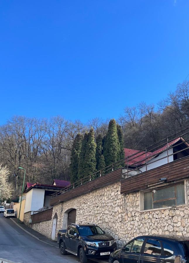 Timi Residence Брашов Екстер'єр фото